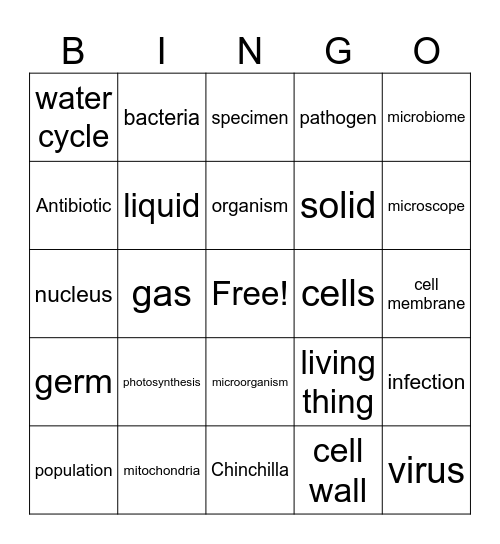 706 Class Bingo Card