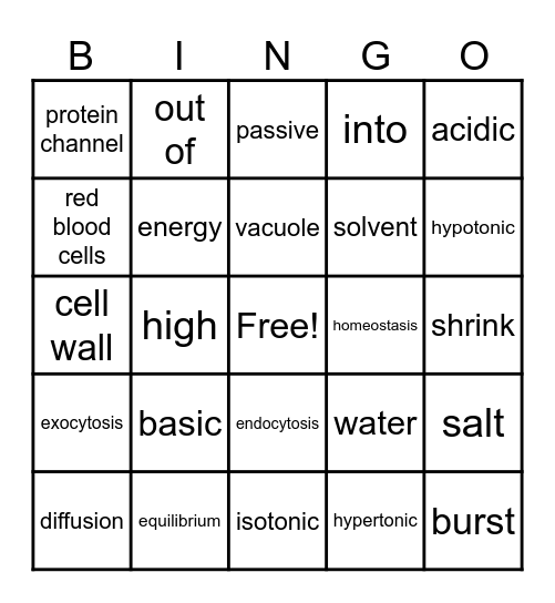 Homeostasis and Transport Bingo Card