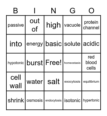 Homeostasis and Transport Bingo Card
