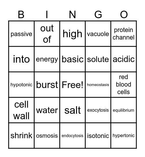 Homeostasis and Transport Bingo Card