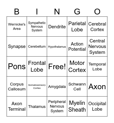 Intro Psych Bio Basis Bingo Card