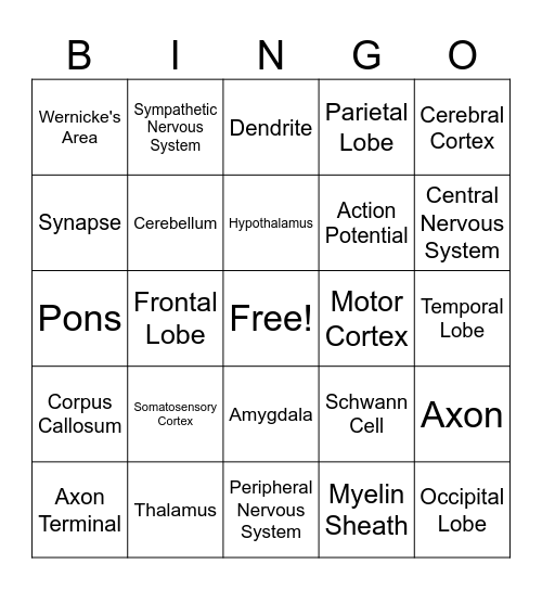 Intro Psych Bio Basis Bingo Card