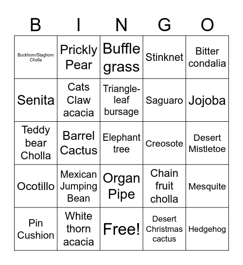 Desert Plant Bingo Card