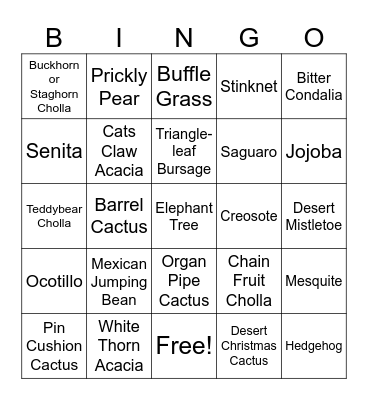 Desert Plant Bingo Card