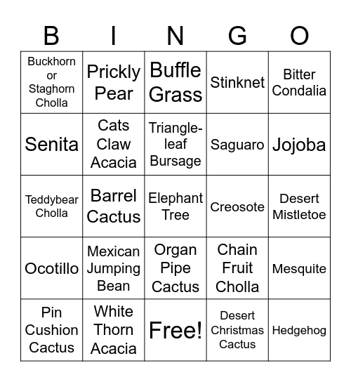 Desert Plant Bingo Card