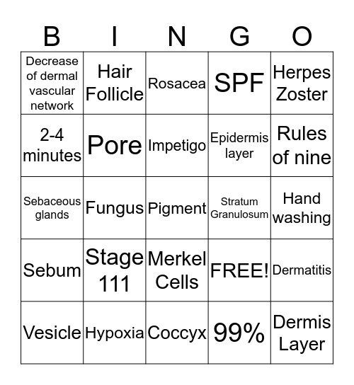 Anatomy Bingo Card