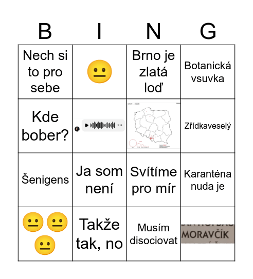 Zřídkaveselé Bingo Card