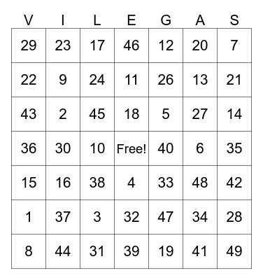 2024 Villegas Family Reunion Bingo Card