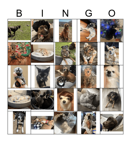 TXP Pets Bingo Card