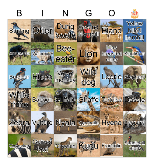 Bridget's Big 5 - Oh! Bingo Card