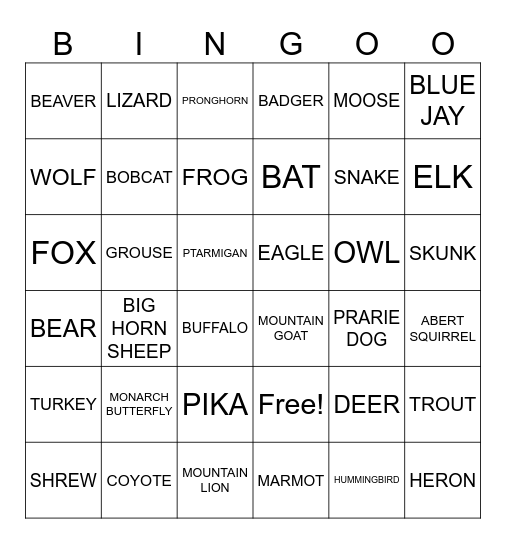 2025 WILDLIFE BINGO Card