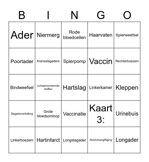 Begrippen Thema 3 Bingo Card