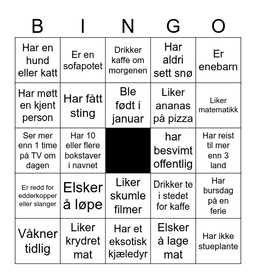 FINN NOEN SOM... Bingo Card