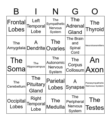 Neuroscience in Psychology Bingo Card