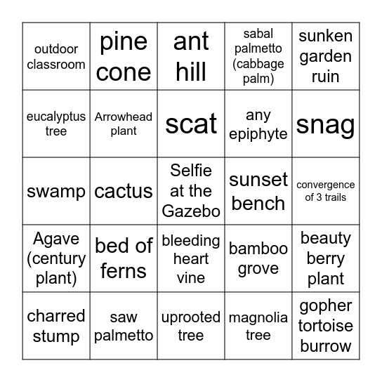 Mackay Scavenger Hunt Bingo Card