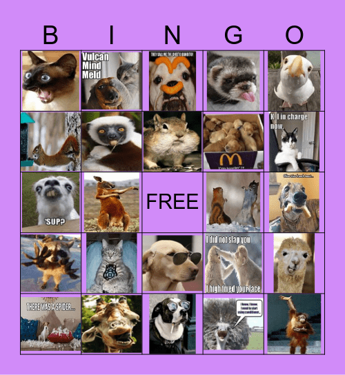 Funny Jokes Bingo Card