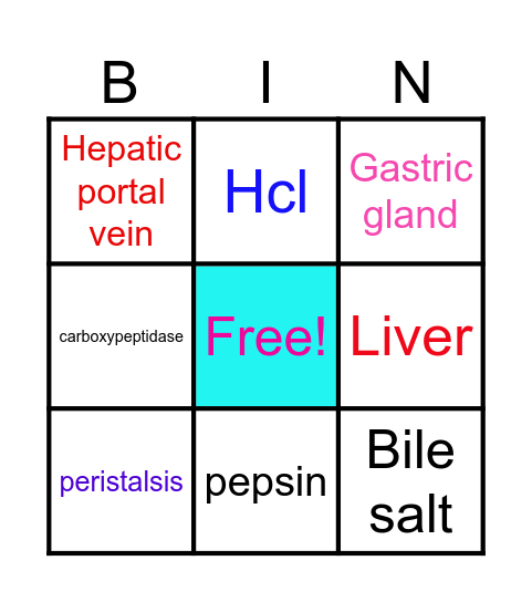 Digestion Bingo Card