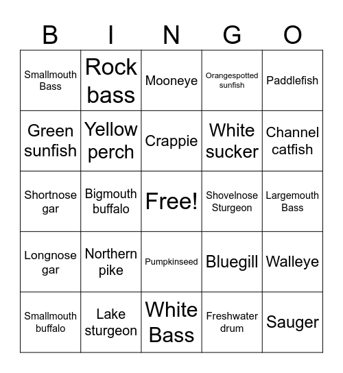 Minnesota Fishes Bingo Card