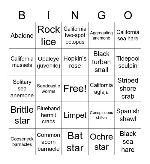 La Jolla Tidepool Bingo Card