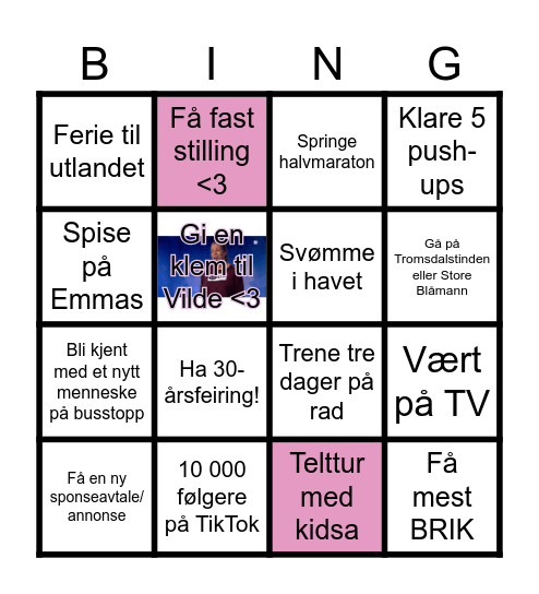 VILDE 2025 Bingo Card