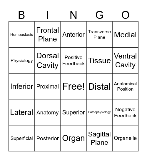 Orientation of the Human Body Bingo Card