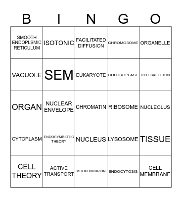 CELLS Bingo Card