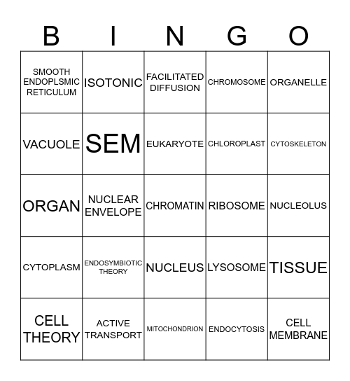 CELLS Bingo Card