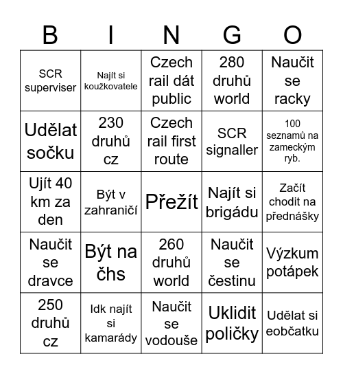 2025 Bingo Card