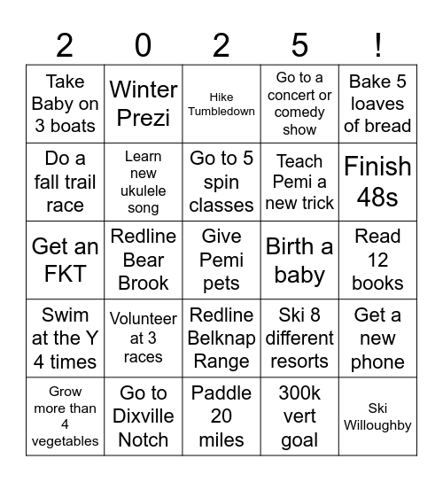 2025 Bingo Card