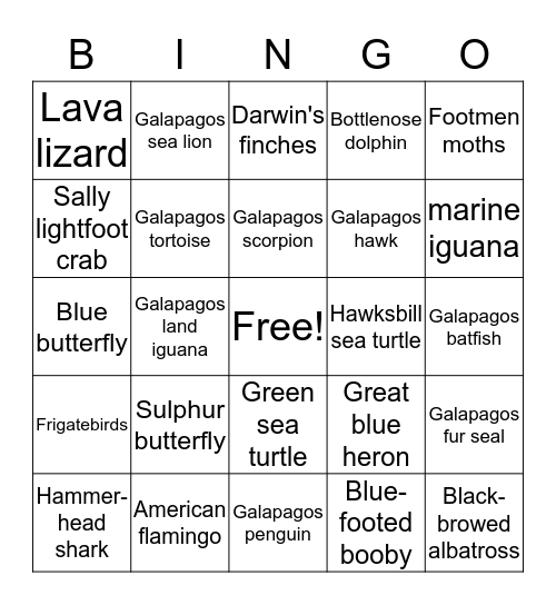 Galapagos Island Animals Bingo! Bingo Card
