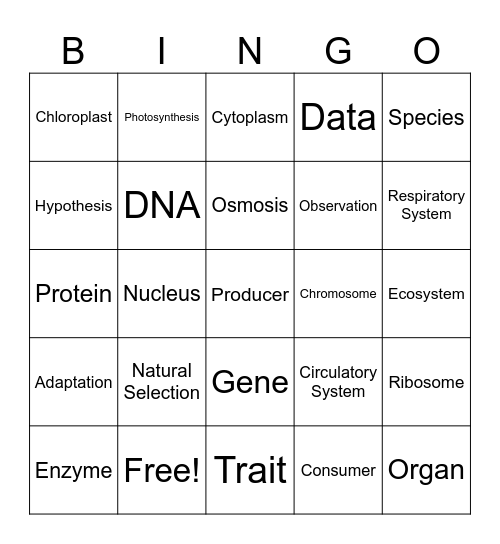 Biology Bingo Card
