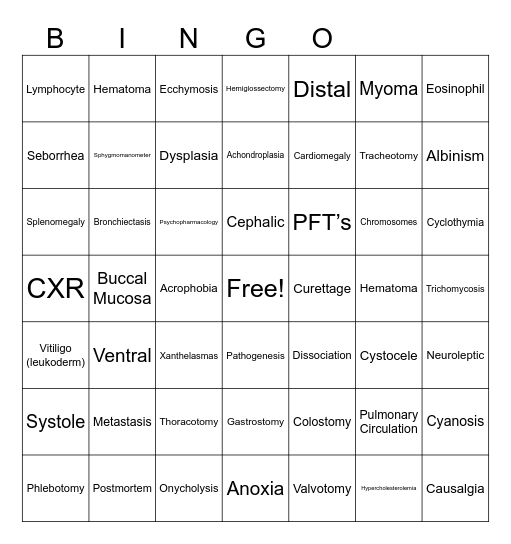 Med Term Fall 2024 Bingo Card