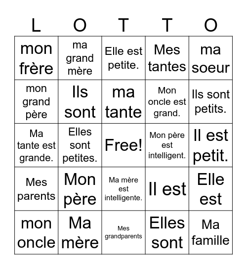 Famille et adjectifs! 6th & 8th grade Bingo Card