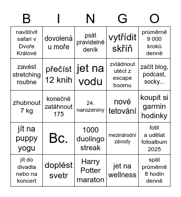 2025 Bingo Card