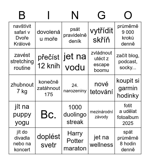 2025 Bingo Card