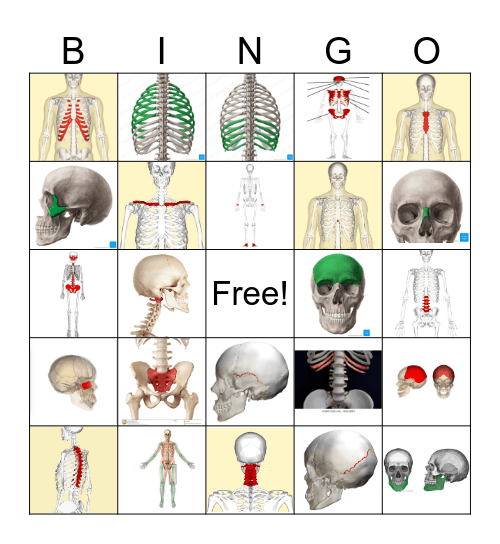 bone Bingo Card