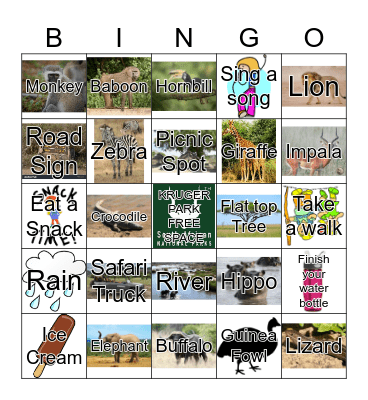 Kruger Park Bingo Card