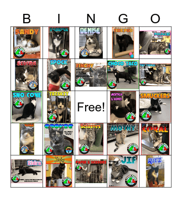 Jefferson Township Cats Bingo Card