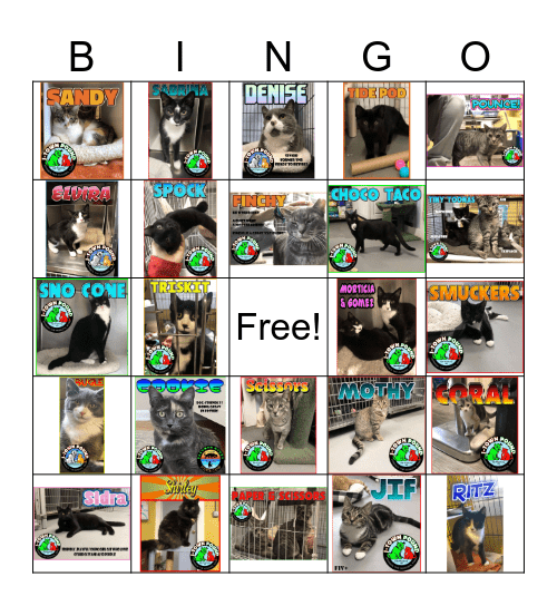 Jefferson Township Cats Bingo Card