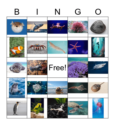 Ocean bingo Card
