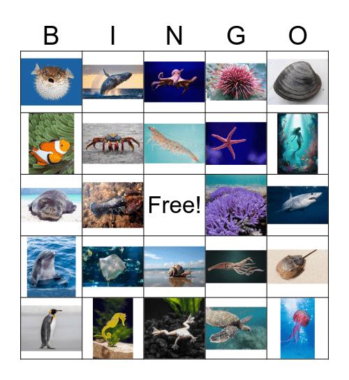 Ocean bingo Card