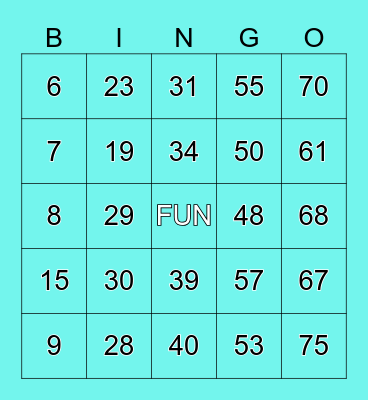 BINGO  FUN Bingo Card