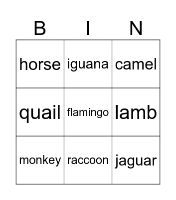 animals Bingo Card