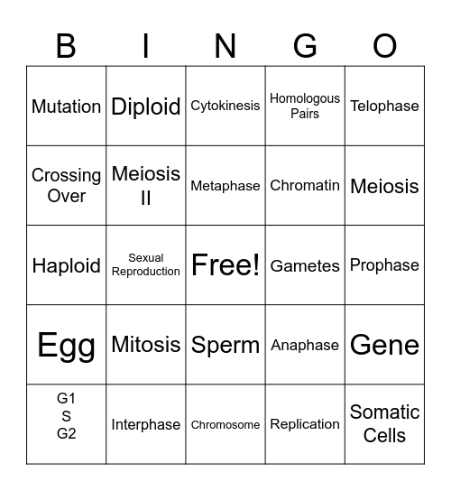 BA Cell Division Bingo Card