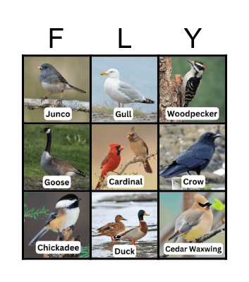 Winter Bird Bingo Card