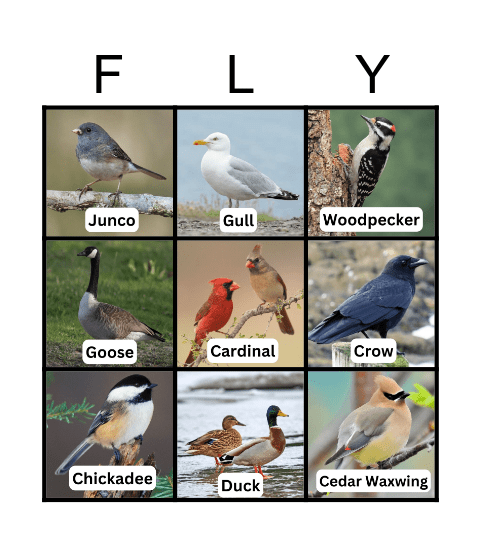 Winter Bird Bingo Card