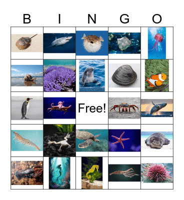 Ocean bingo Card