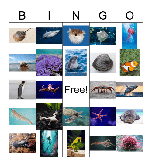 Ocean bingo Card