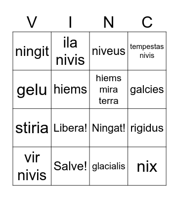 Latin Snow Vocabulary Bingo Card