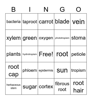 Chapter 9 Bingo Card